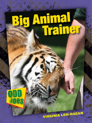 cover image of Big Animal Trainer